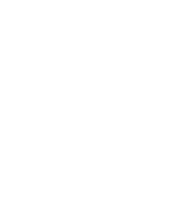Company logo blank